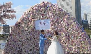 梦幻西餐厅3 梦幻西餐厅3